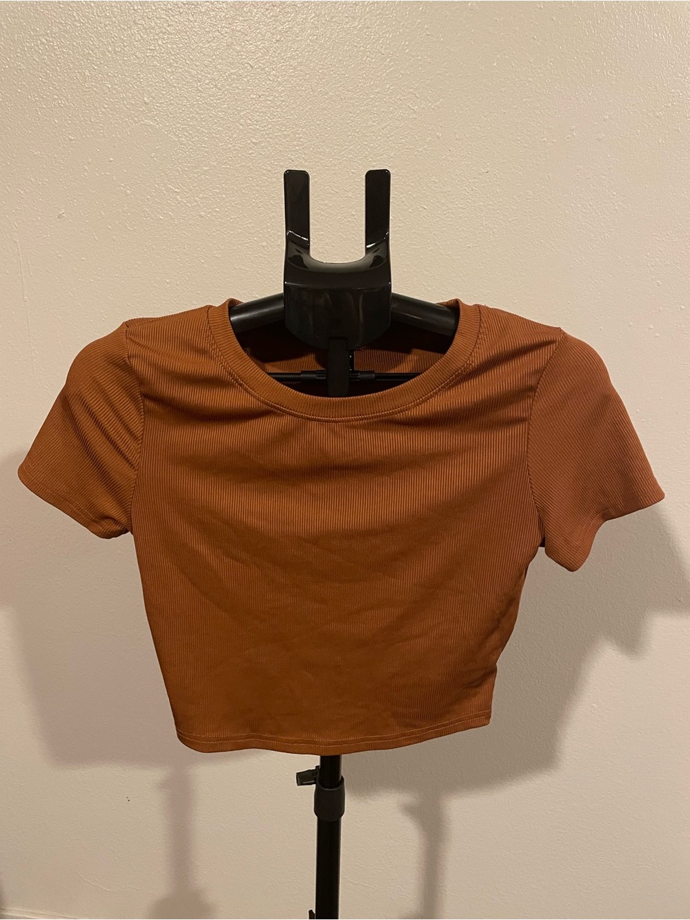 Rust Brown Ribbed Short Sleeve Crop Top